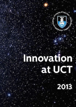 Innovation Report 2013